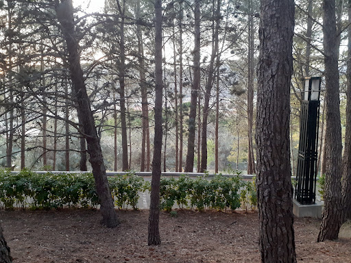 Cantagallet Park - Thumbnail