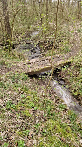 Zwergenlöcher - Visual