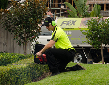 FOX Lawn Mowing & Gardening Panorama - Thumbnail