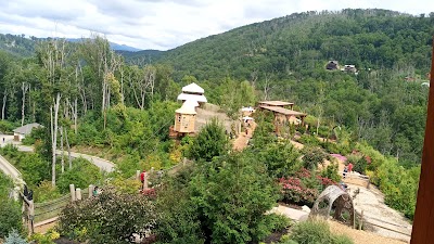 Treehouse Village