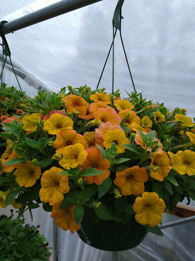 Sandcreek Garden Farm Gallery - United States