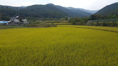 Photos of 운길산