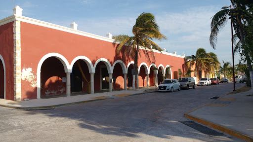 The Cashé Sisal