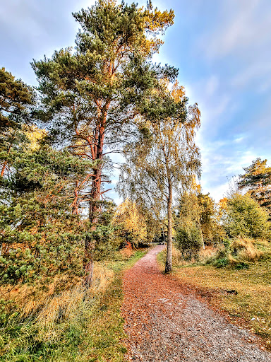 Trollhättan Hjortmosseskolan - Thumbnail