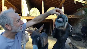 Photo n°8 de Escap'ânes: Escapade journée avec un âne, randonnée itinérante avec un âne dans les Pyrénées cathares, Ariège, Occitanie à Roquefixade (Centre de randonnée équestre)