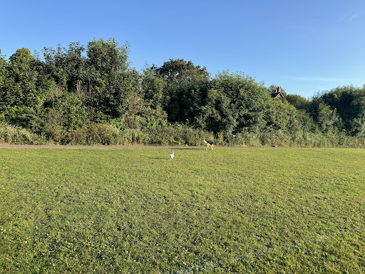 Hearn Field - Visual
