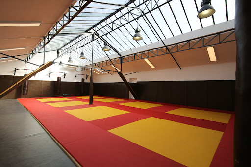 Photo de Centre Sportif Des Raguidelles à Suresnes (92150)