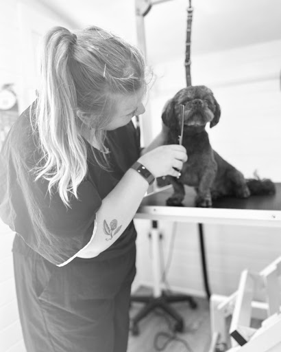 Posh Paws Professional Dog Grooming Spa