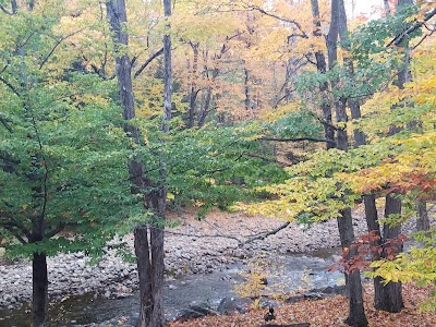 Photos of Deer Park Resort