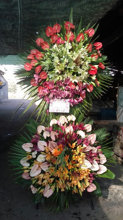 Photos of دکه گل فروشی