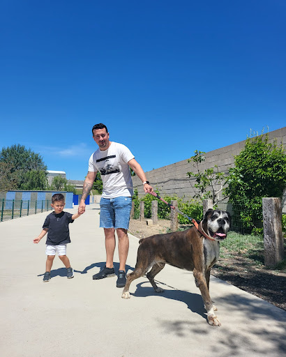 Hotel para perros El Espolón