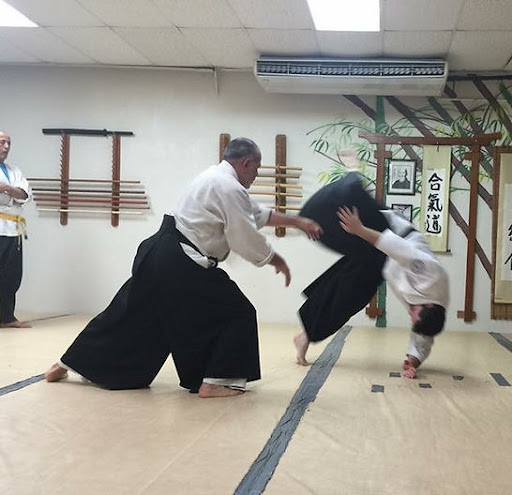 Aikido Shiyuukan Puerto Rico - Thumbnail