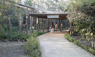 Photos of Aviario Nacional de Colombia