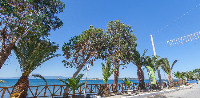 https://athos-cruises.gr/