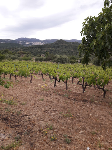 Tescere