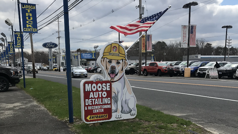 Moose Collision and Detail Center
