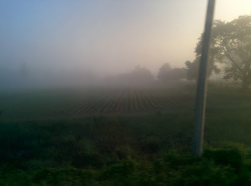 SERVIGAS DE OAXACA - Thumbnail