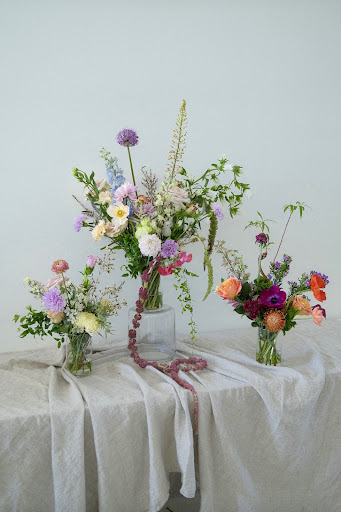 Neroli Blume - Visual