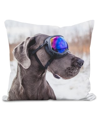 PrintmyPets