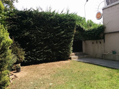 Photos of Darga Academy