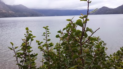 Photos of Camping Suizo Bariloche