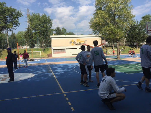 Oxford School México