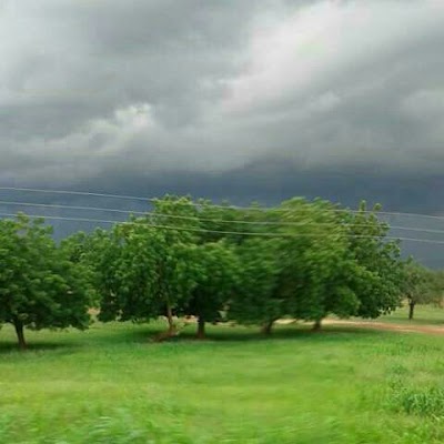 Photos of Arli National Park