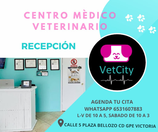 VetCity Centro Médico Veterinario