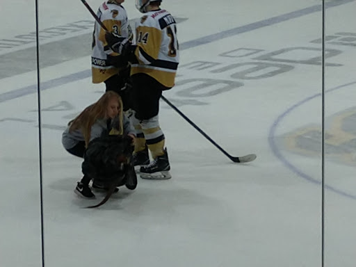 VFW Sports Center - Thumbnail