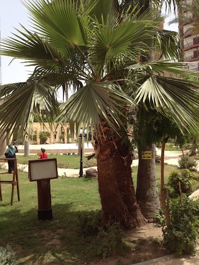 Photos of متحف رشيد - Rosetta Museum