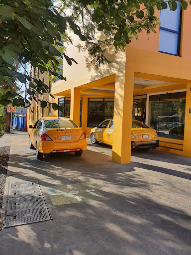 Taxi Tour Plus Oaxaca - Thumbnail