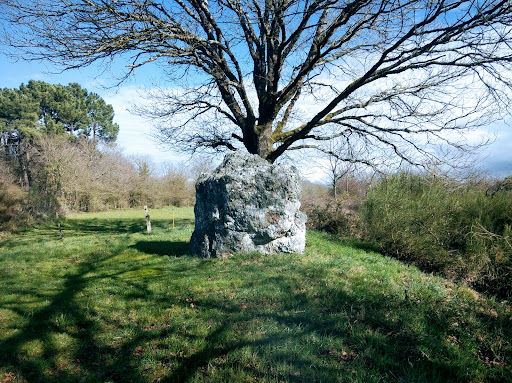 Couëbrac menhir - Thumbnail