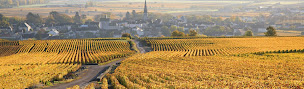 Photo n°36 de Clos Saint Jacques à Meursault (Magasin de vins et spiritueux)