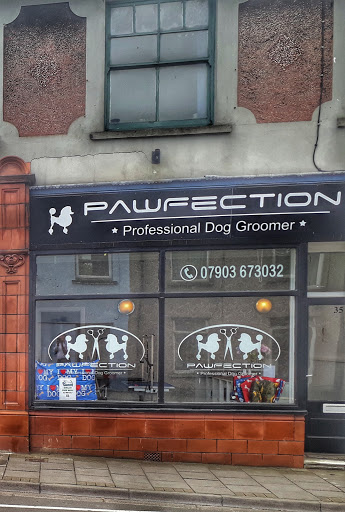 Pawfection Professional Dog Groomers - Thumbnail