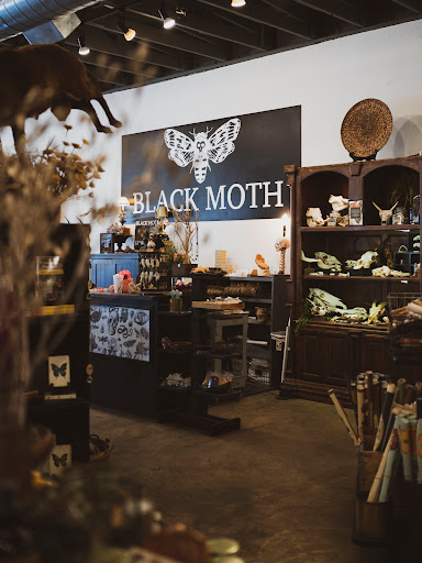 Black Moth - Visual