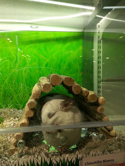 pet-store