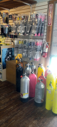 American Diver's International Gallery - United States