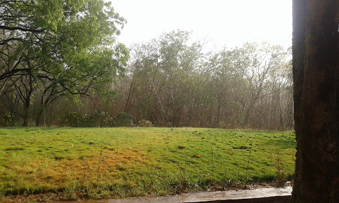 Af1qipotk28gr9xjadjvcschoes Tiknu60b Nfl09cd=s483 K No