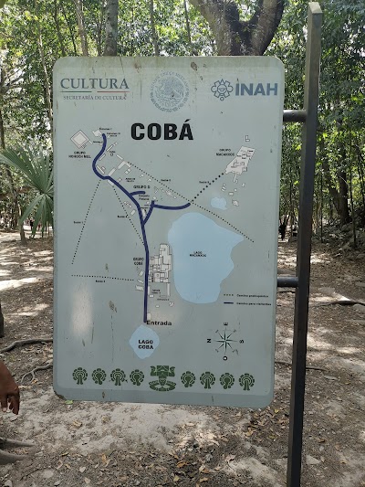 Cobá Zona Arqueológica