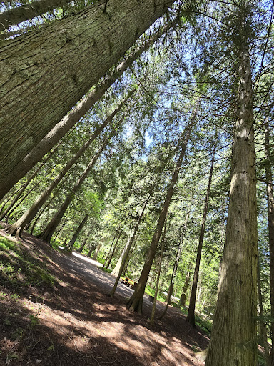 Kokanee Provincial Park - Holt Cyclist Shelter Campground - Thumbnail