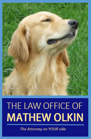 The Law Office of Mathew Olkin Gallery - United States