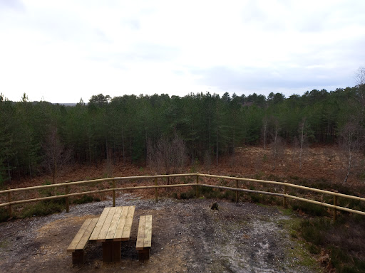 Moors Valley Country Park - Thumbnail