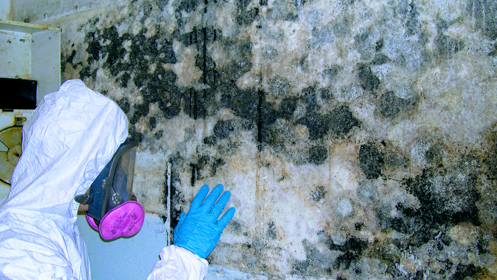 Dry-Pro services,LLC photo