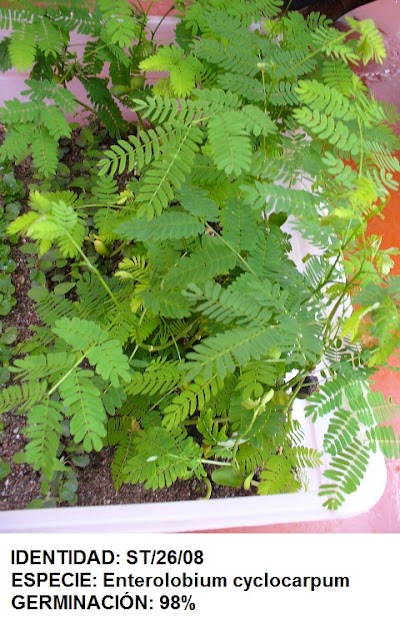 Photos of Semillas Tropicales S. de R.L.
