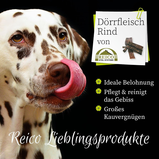 Reico Berater Vertrieb Stefanie Dörlitz - Thumbnail