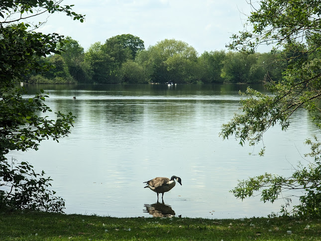 Opinii despre Ferry Meadows Caravan and Motorhome Club Campsite în Peterborough - Night club