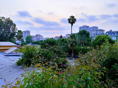 Photos of Adana Station