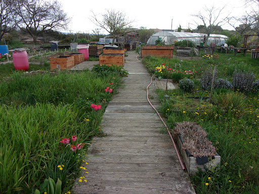 Photo de Foyer de Vie Amandiers