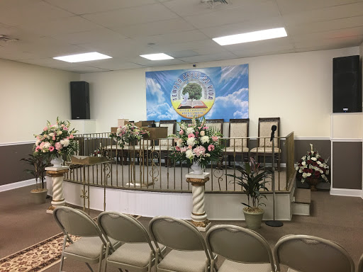 Iglesia Apostoles Y Profetas Efesios 2:20 Templo Árbol De Vida