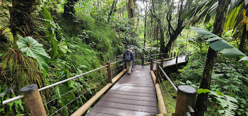 808 Hawaii Tours, LLC
